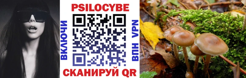 MEGA ТОР Челябинск Галлюциногенные грибы мицелий купить сайты