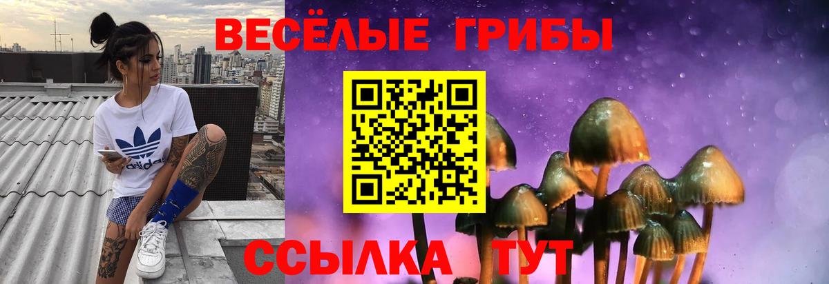 Галлюциногенные грибы GOLDEN TEACHER Челябинск